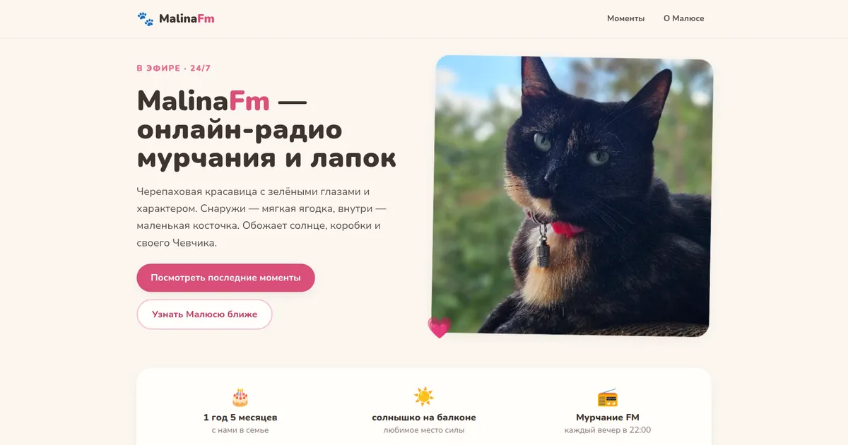 Home: “online radio of purrs and paws”