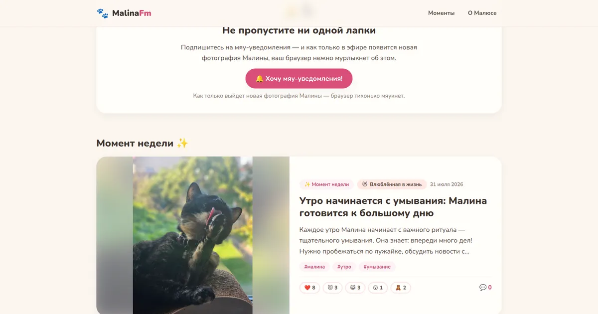 Moment of the week and notification sign-up